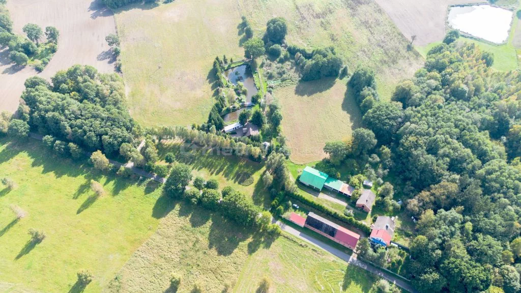 Obiekt 135 196,00 m², oferta nr , SOFETO692, Knyki