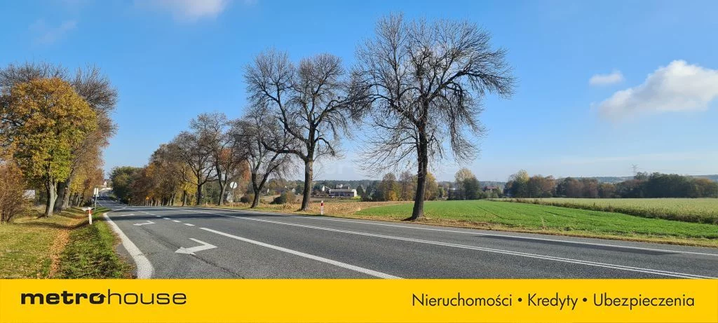 Lokal użytkowy 195,00 m², oferta nr , SLTETA428, Domaniewice, Kolejowa
