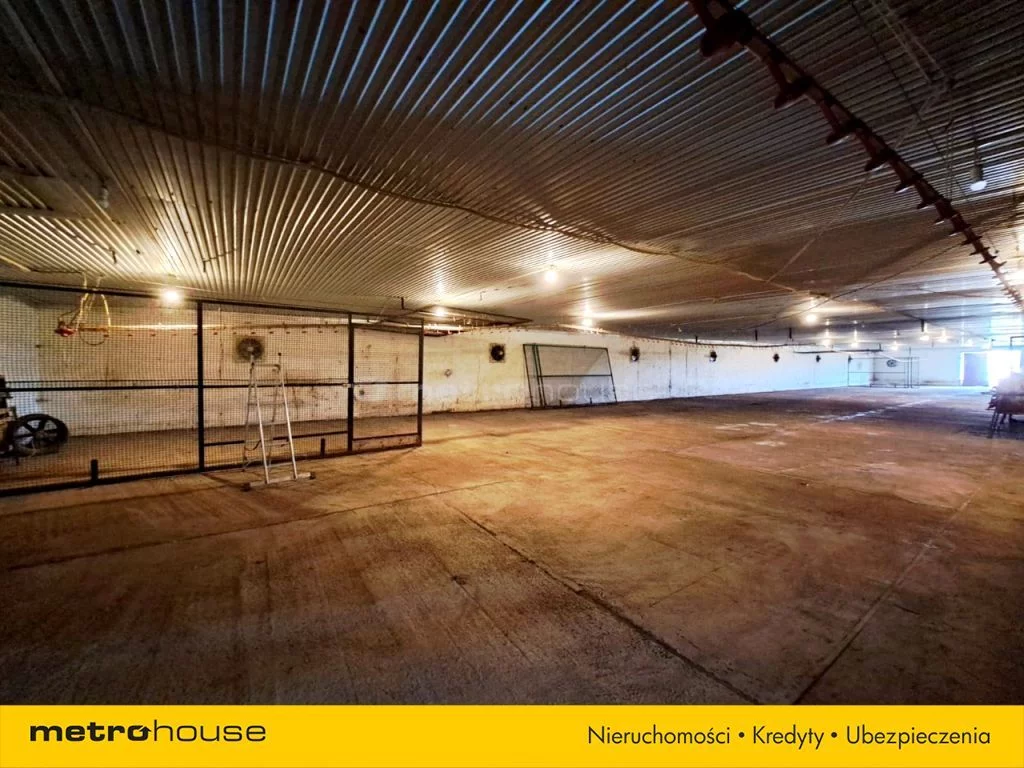 Obiekt 78 000,00 m², oferta nr , SOJAFO754, Krzczonowice