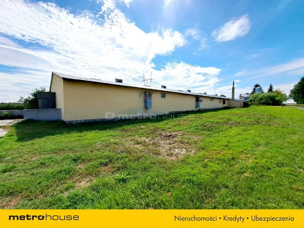 Obiekt 78 000,00 m², oferta nr , SOJAFO754, Krzczonowice