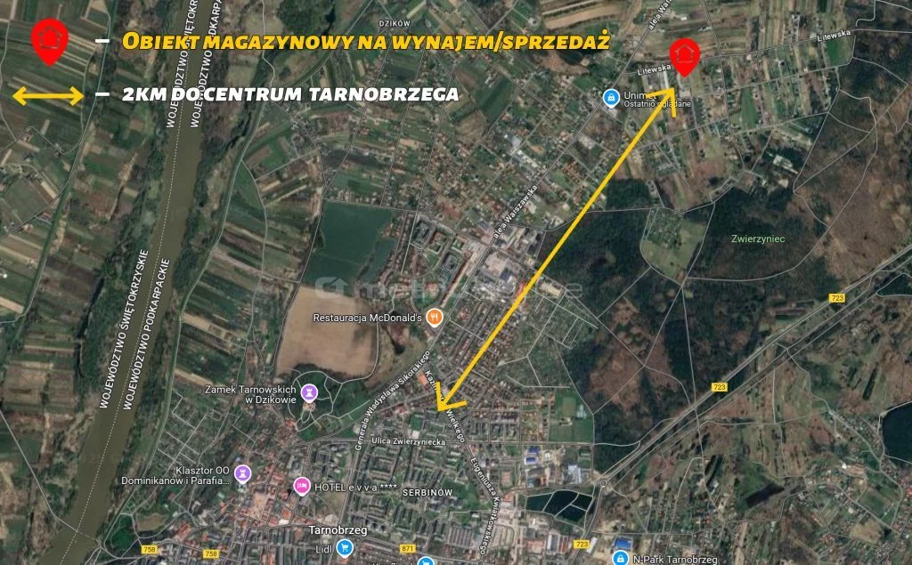 WLSUNY619 - zdjęcie nr 3
