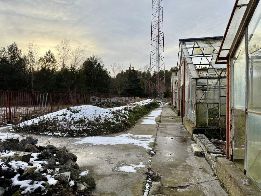 Obiekt 1 500,00 m², oferta nr , SONEFO929, Toruń, Łódzka