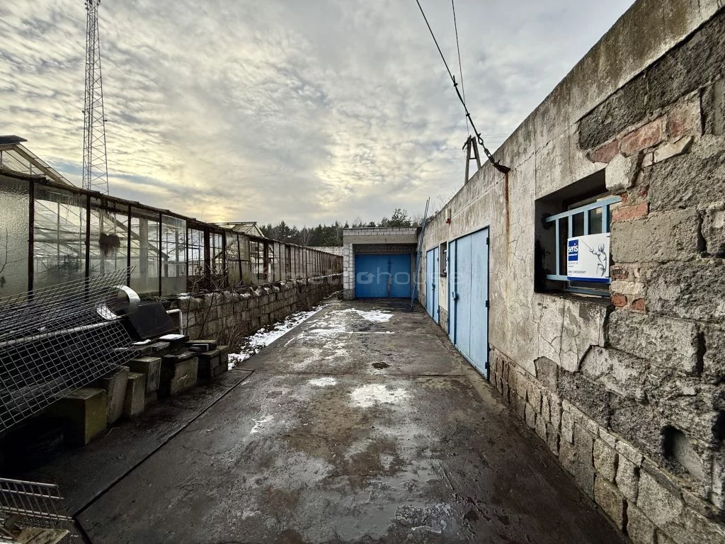 Obiekt 1 500,00 m², oferta nr , SONEFO929, Toruń, Łódzka
