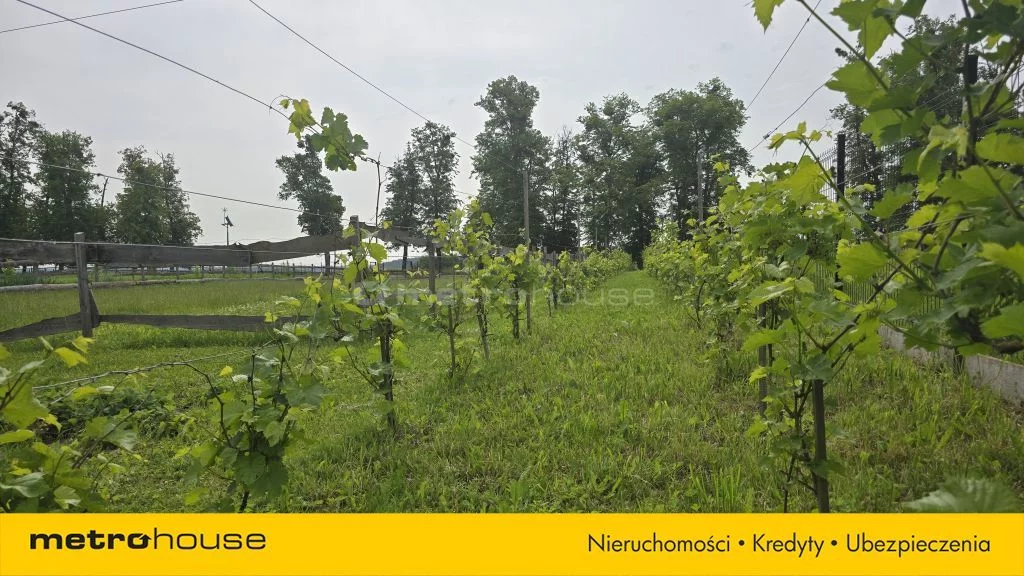 Obiekt 10 729,00 m², oferta nr , SORULU838, Minięta