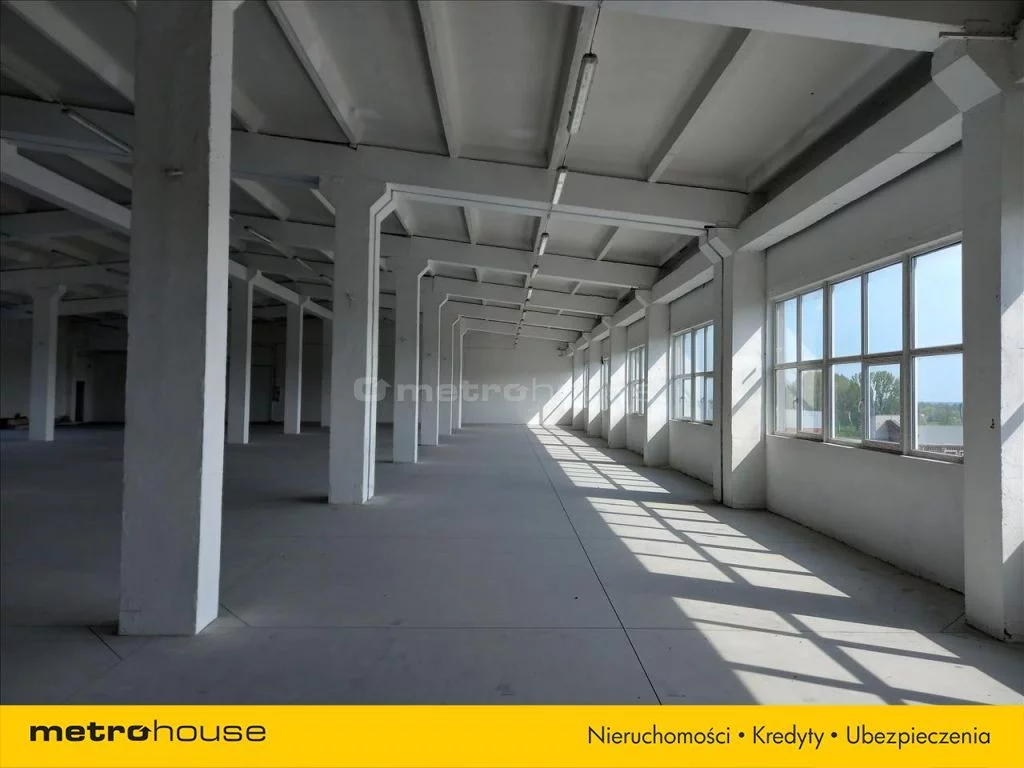 Obiekt 5 858,10 m², oferta nr , BAMA374, Ozorków