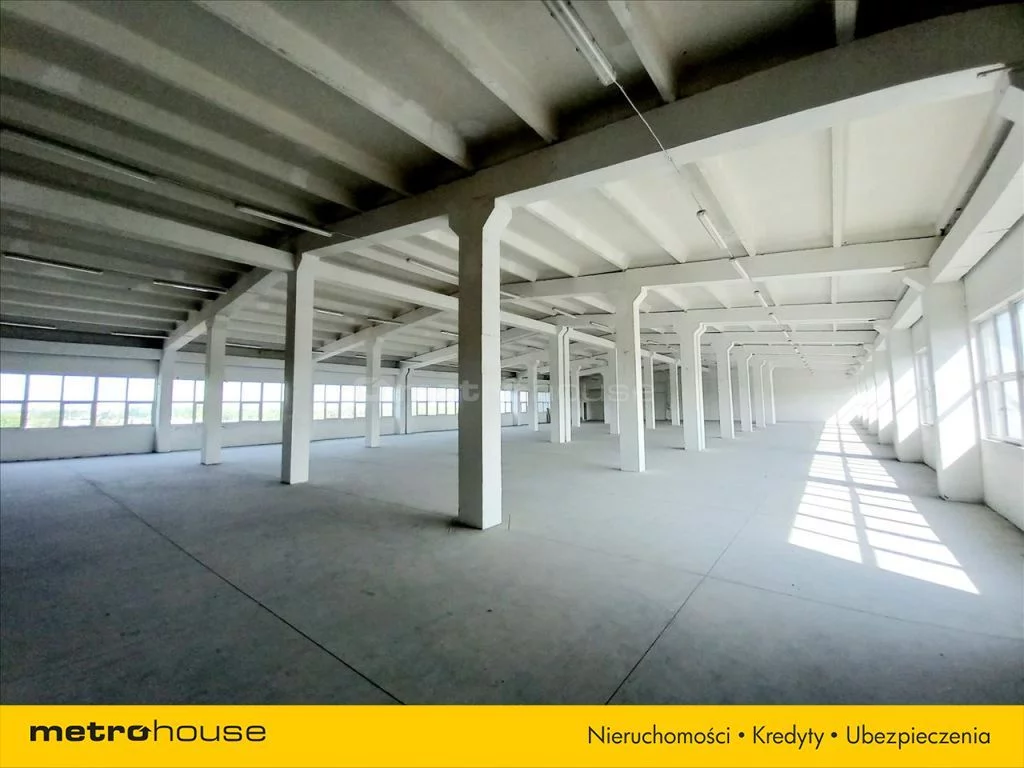 Obiekt 5 858,10 m², oferta nr , BAMA374, Ozorków
