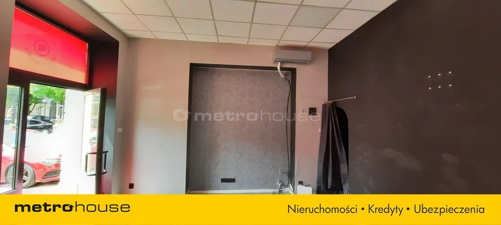 WLCURY397 - zdjęcie nr 0