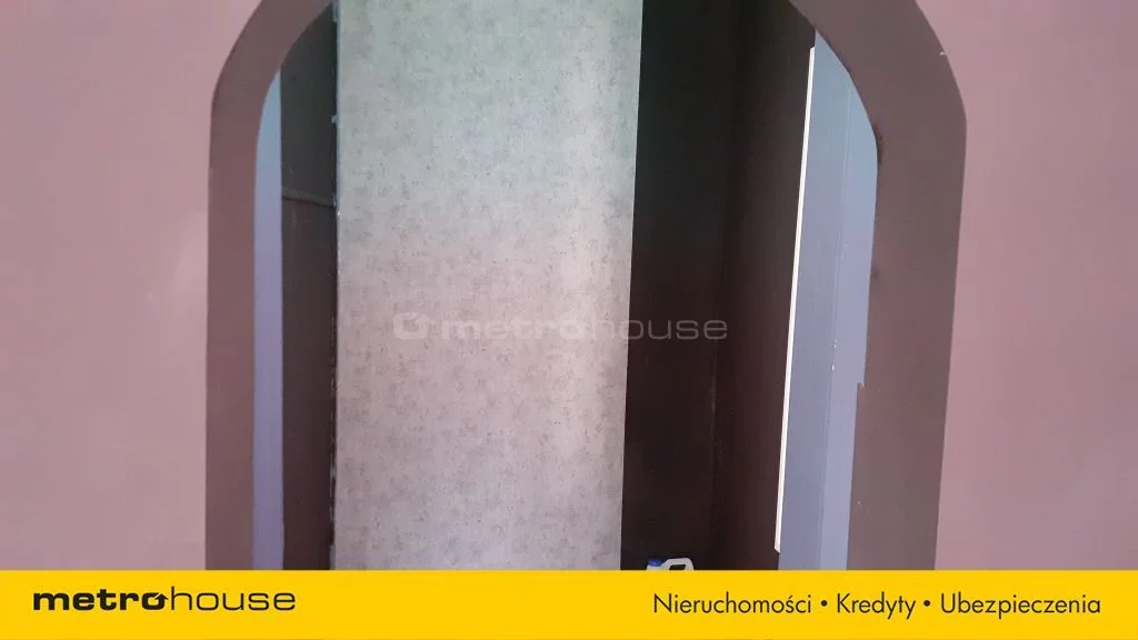 WLCURY397 - zdjęcie nr 4