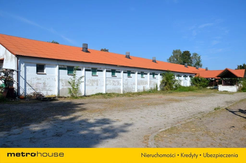 Obiekt 44 000,00 m², oferta nr , SONURE409, Opoczno, Piotrkowska