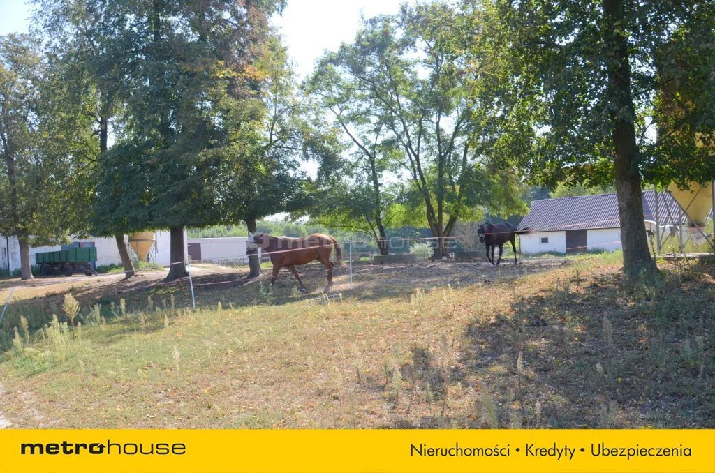 Obiekt 44 000,00 m², oferta nr , SONURE409, Opoczno, Piotrkowska