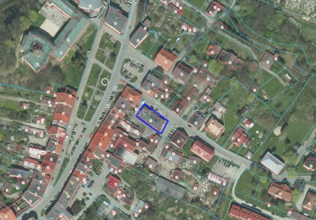Lokal użytkowy 353,00 m², oferta nr , SLPAJA741, Międzylesie, Powstańców Śląskich
