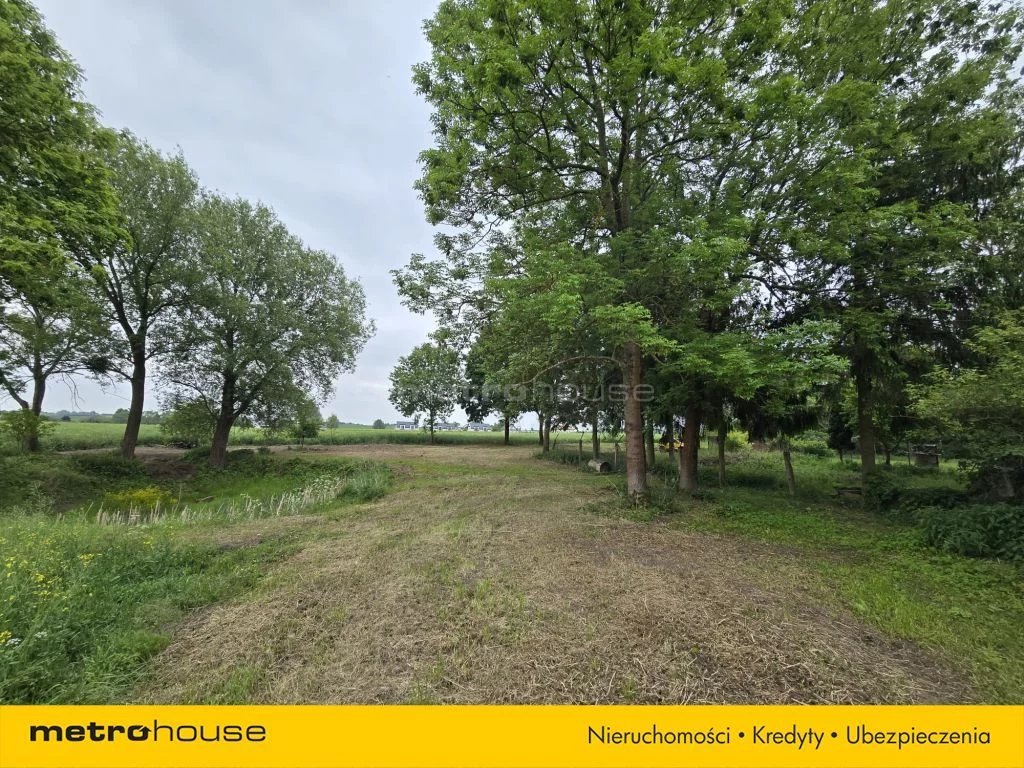 Obiekt 37 900,00 m², oferta nr , SOLASU134, Rogowo