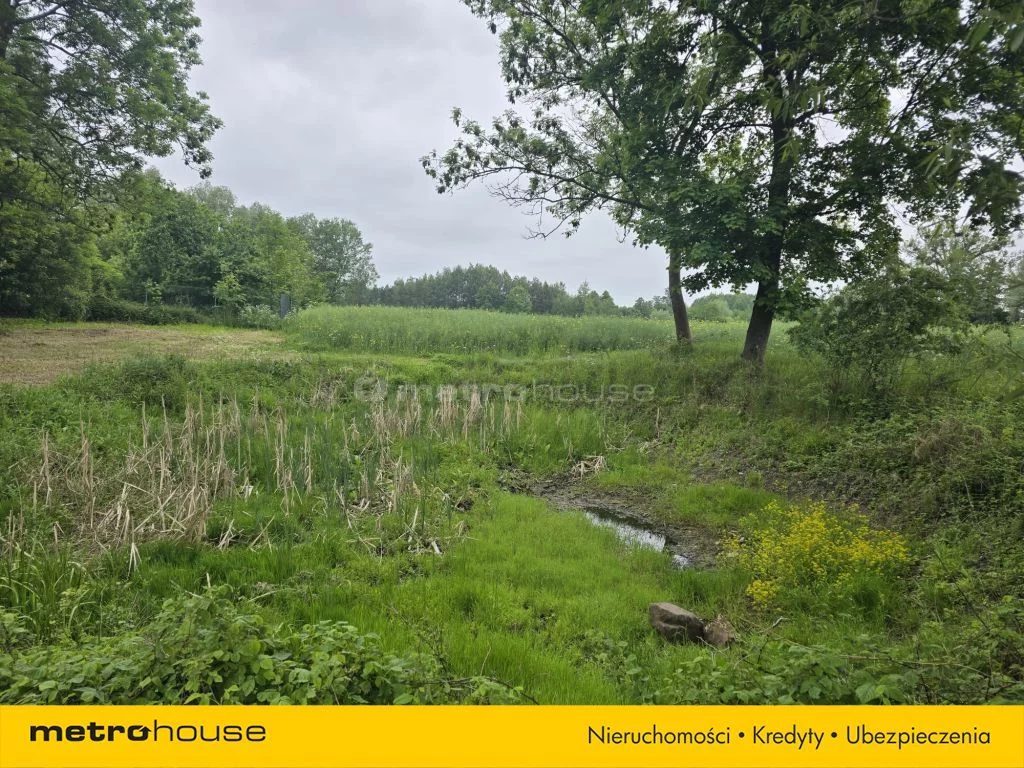 Obiekt 37 900,00 m², oferta nr , SOLASU134, Rogowo