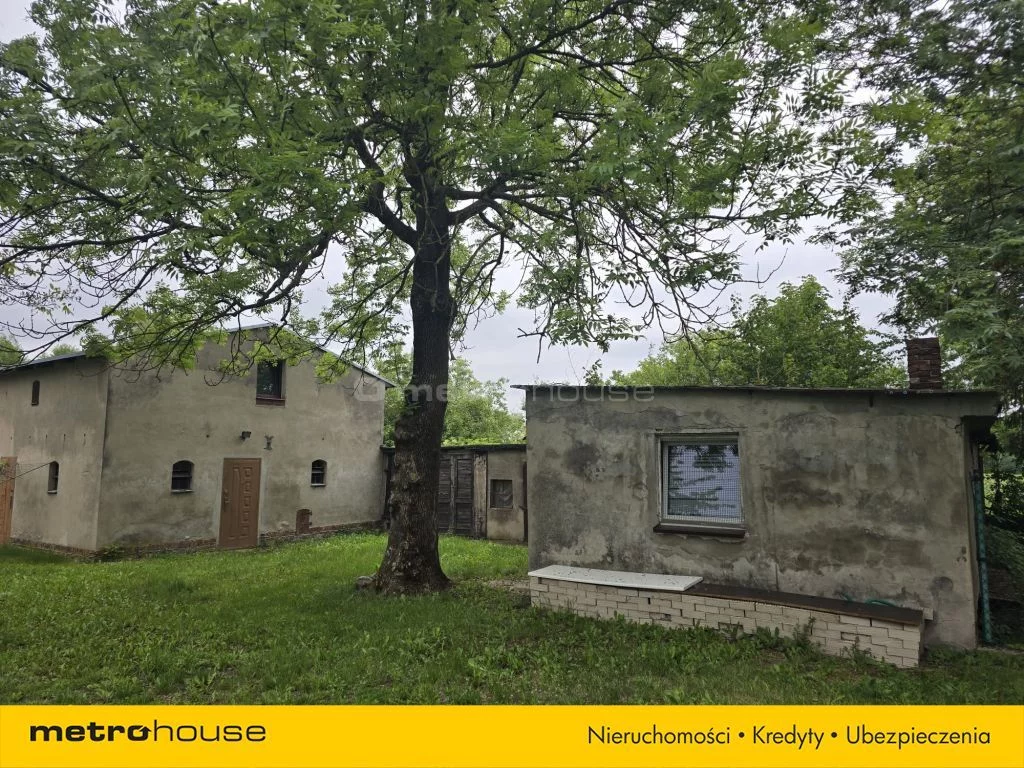 Obiekt 37 900,00 m², oferta nr , SOLASU134, Rogowo