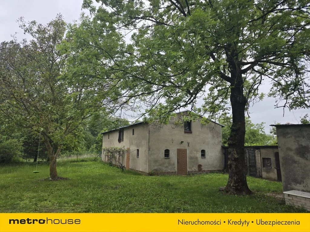 Obiekt 37 900,00 m², oferta nr , SOLASU134, Rogowo