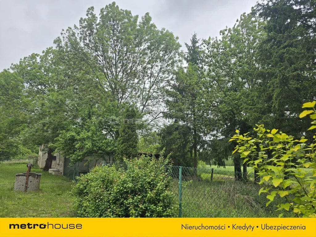Obiekt 37 900,00 m², oferta nr , SOLASU134, Rogowo