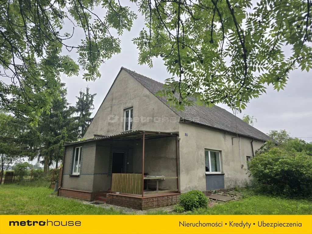 Obiekt 37 900,00 m², oferta nr , SOLASU134, Rogowo