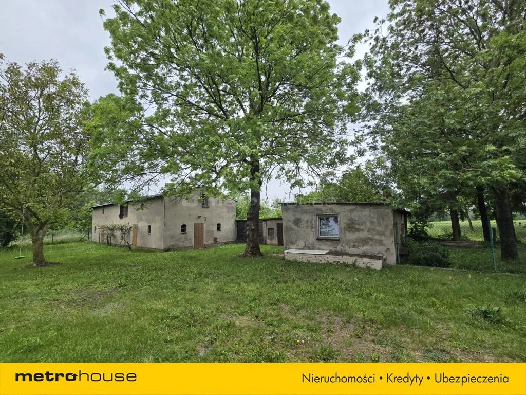 Obiekt 37 900,00 m², oferta nr , SOLASU134, Rogowo