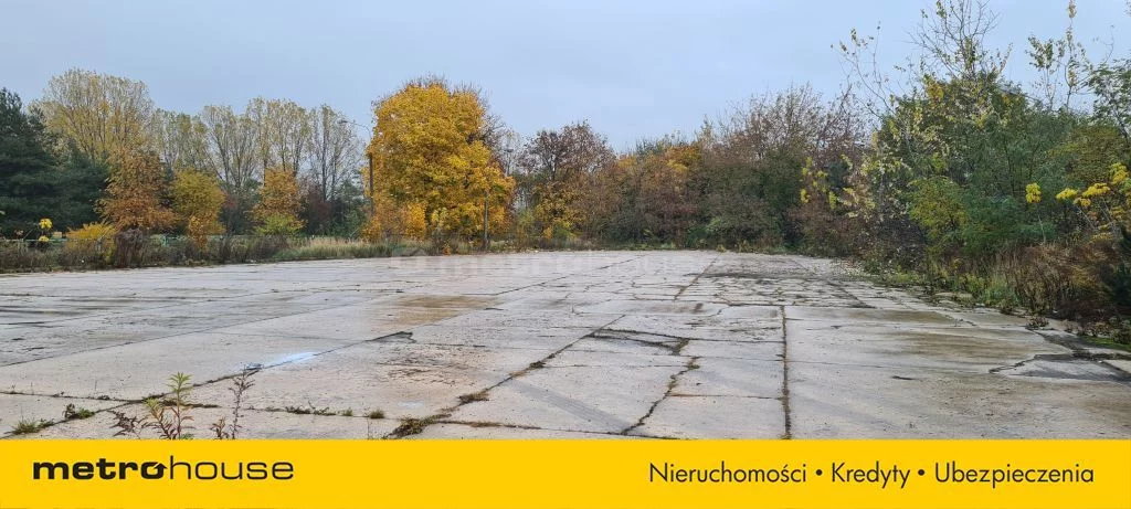 Lokal użytkowy 90,00 m², oferta nr , SLKESE509, Kutno, Sklęczkowska
