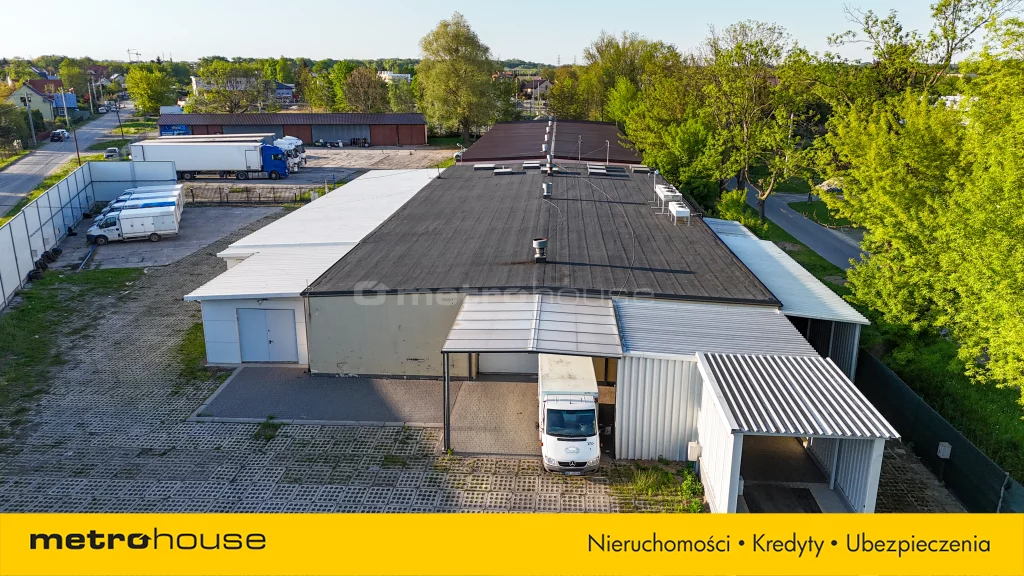 SOREGA394 - zdjęcie nr 1