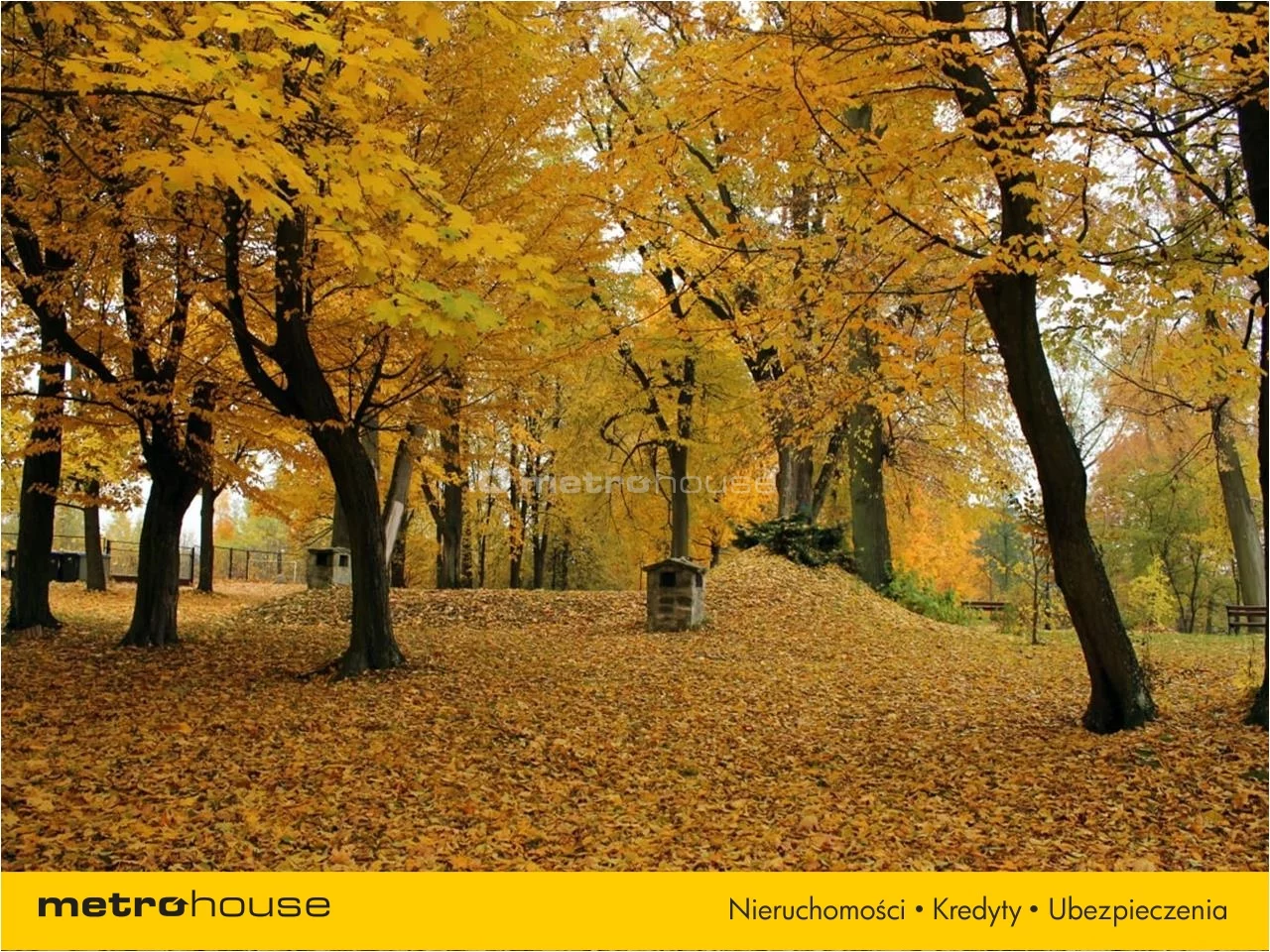 Obiekt 4,00 m², oferta nr , RYGI594, Starzechowice