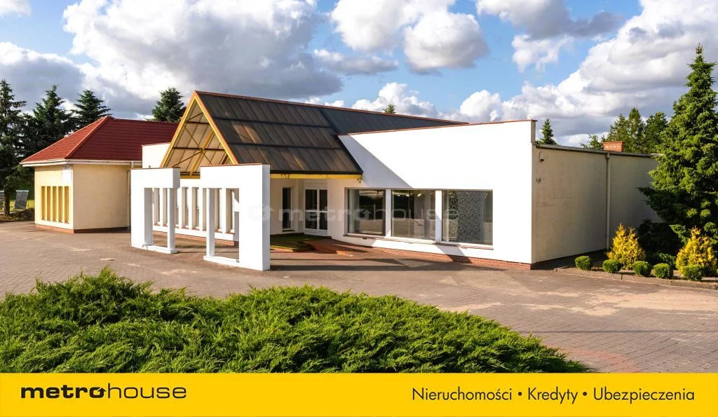 WLVEGU733 - zdjęcie nr 0