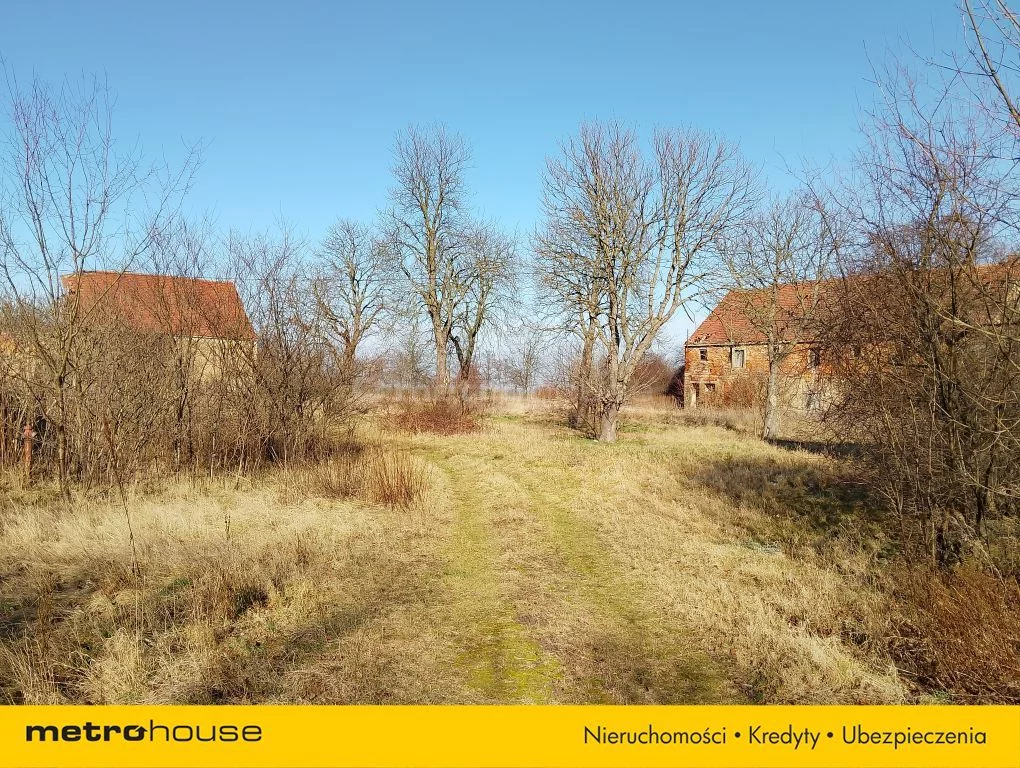 SOFIMU616 - zdjęcie nr 3