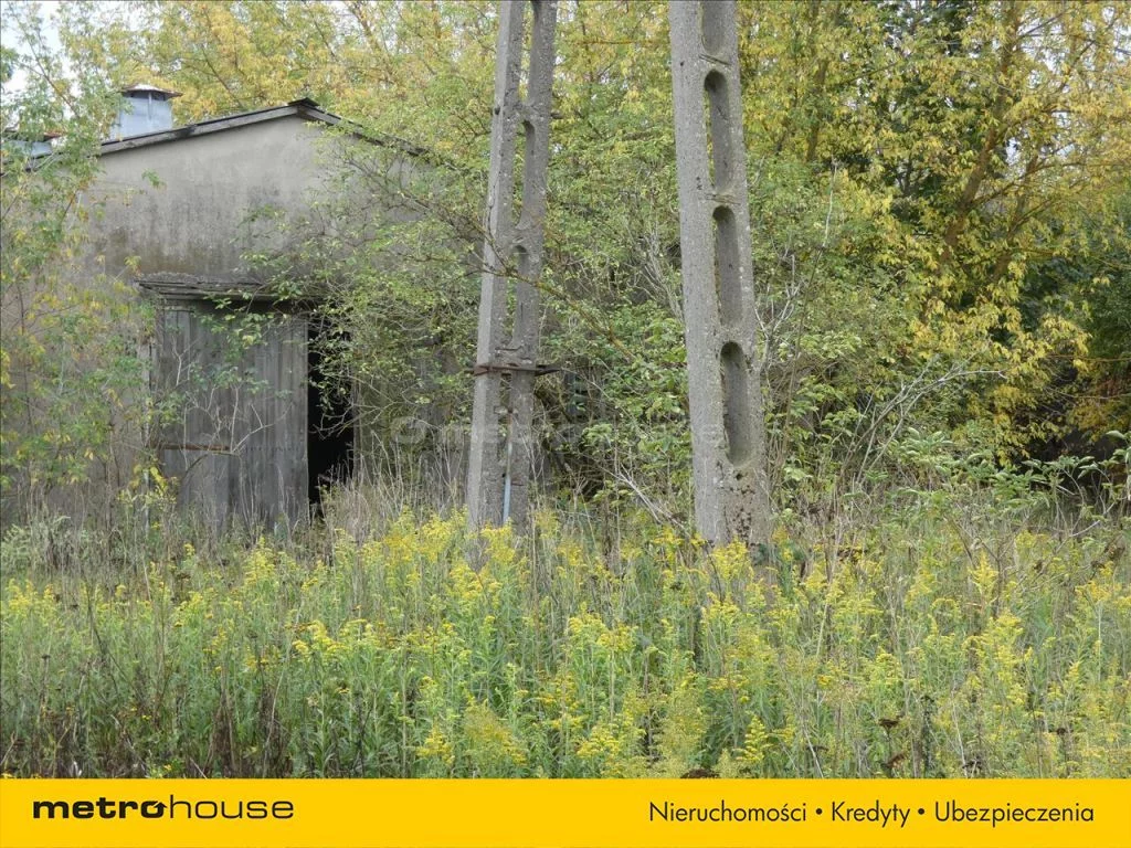 Magazyn 7 751,00 m², oferta nr , GAHA919, Cybulice Duże