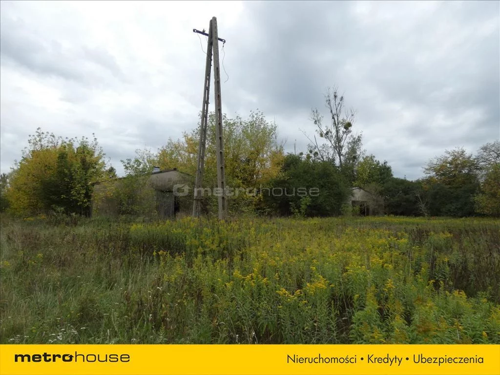 Magazyn 7 751,00 m², oferta nr , GAHA919, Cybulice Duże