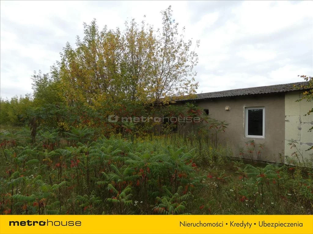 Magazyn 7 751,00 m², oferta nr , GAHA919, Cybulice Duże