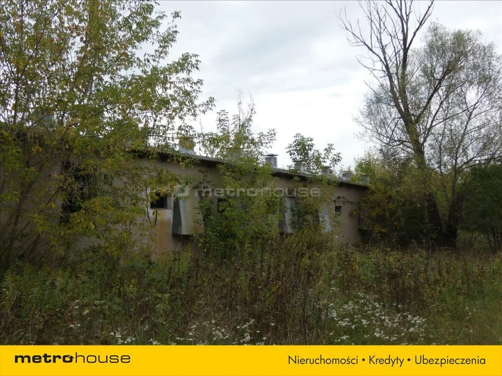 Magazyn 7 751,00 m², oferta nr , GAHA919, Cybulice Duże