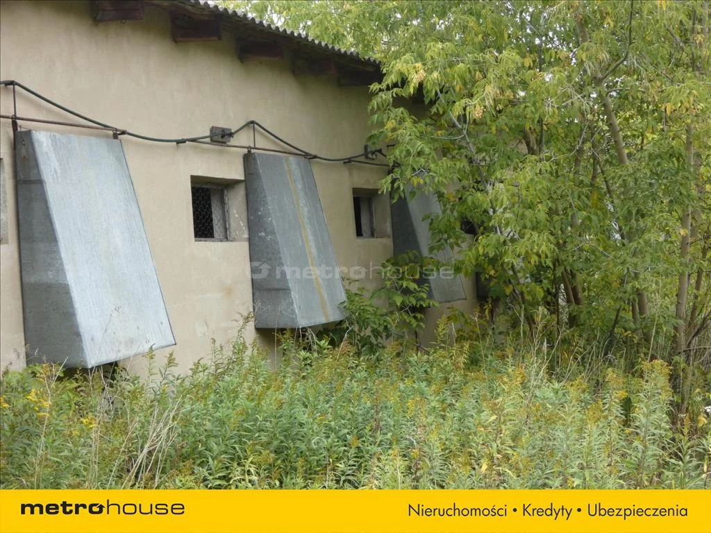 Magazyn 7 751,00 m², oferta nr , GAHA919, Cybulice Duże
