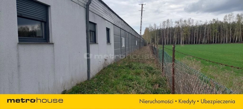 Magazyn 1 170,00 m², oferta nr , SOBEBI721, Józefowo