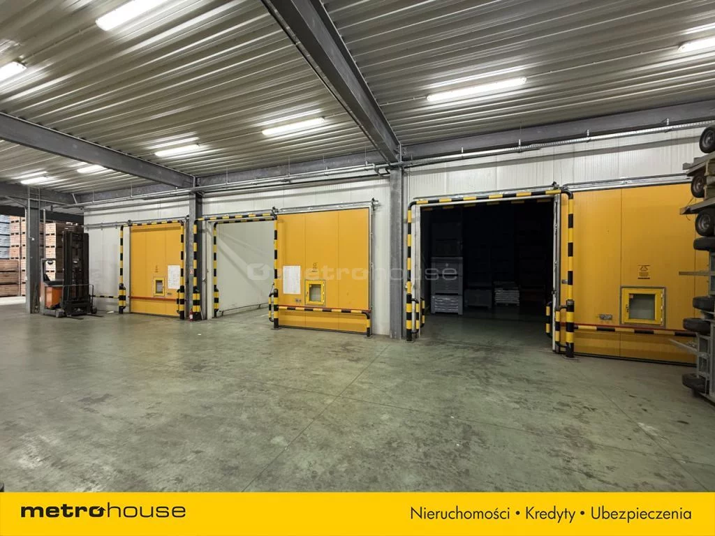 Magazyn 7 279,00 m², oferta nr , SOVEBE713, Konary