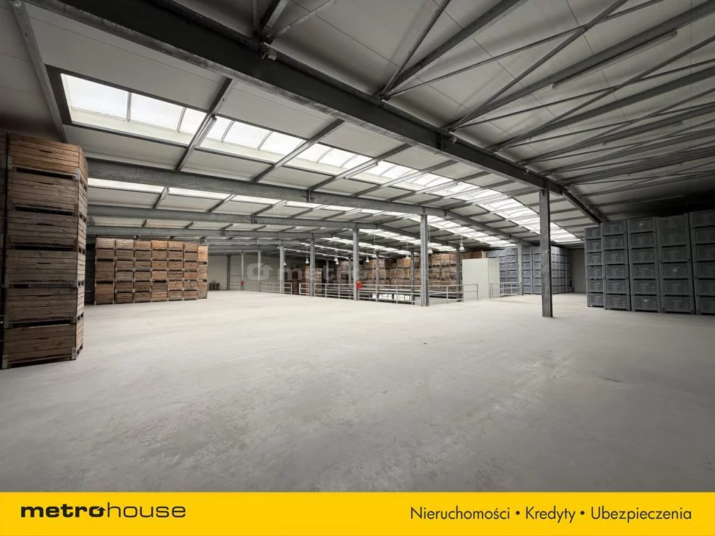 Magazyn 7 279,00 m², oferta nr , SOVEBE713, Konary