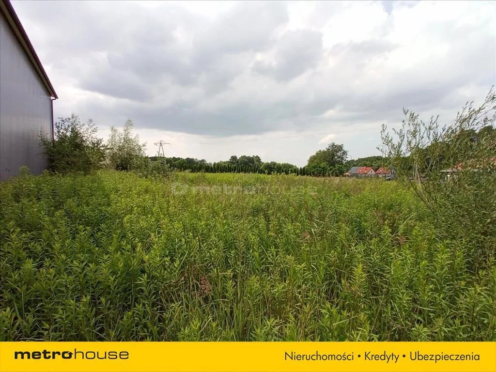 Magazyn 385,00 m², oferta nr , GELY780, Mała Nieszawka