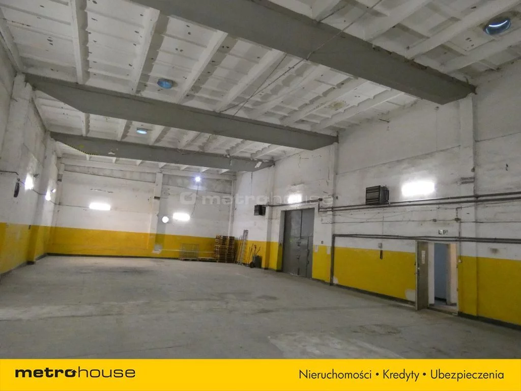 Magazyn 410,00 m², oferta nr , TYPA249, Szeligi