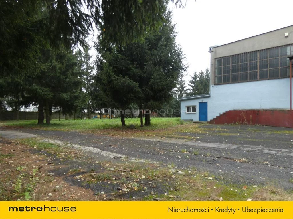 Magazyn 410,00 m², oferta nr , TYPA249, Szeligi
