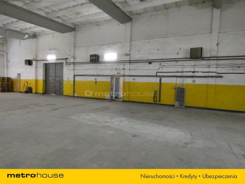Magazyn 410,00 m², oferta nr , TYPA249, Szeligi