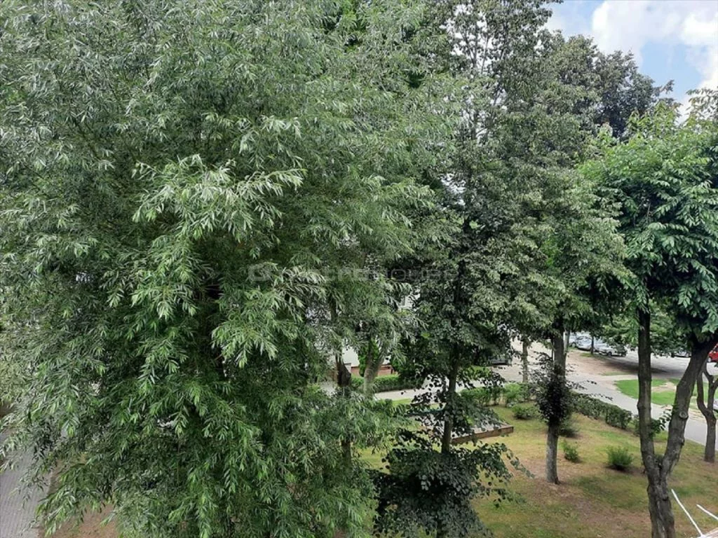 1 pokój, mieszkanie 28,50 m², piętro 2, oferta nr , FUDU202, Pakość, Mogileńska