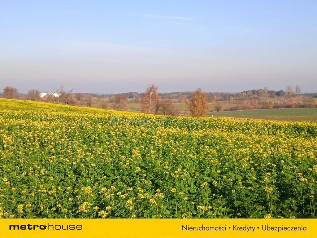 2 pokoje, mieszkanie 48,53 m², parter, oferta nr , WMLUPY253, Dębogórze, Sezamkowa