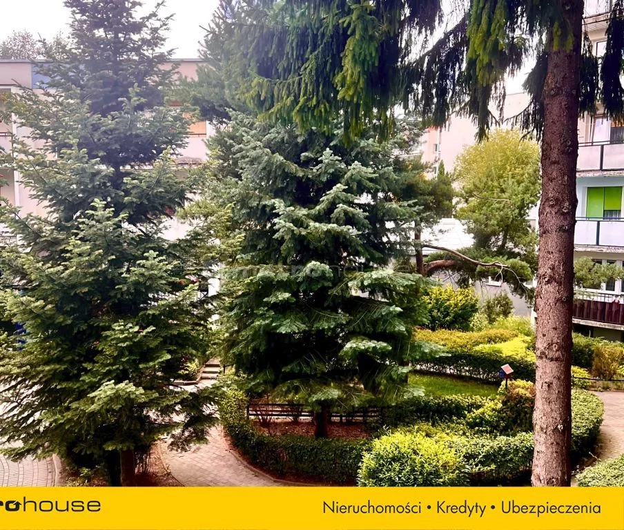 SMJILI354 - zdjęcie nr 4