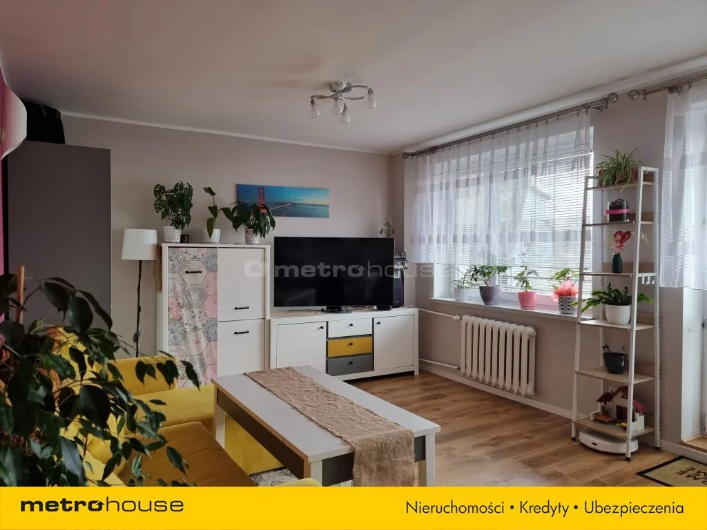 SMNEVI429 - zdjęcie nr 0