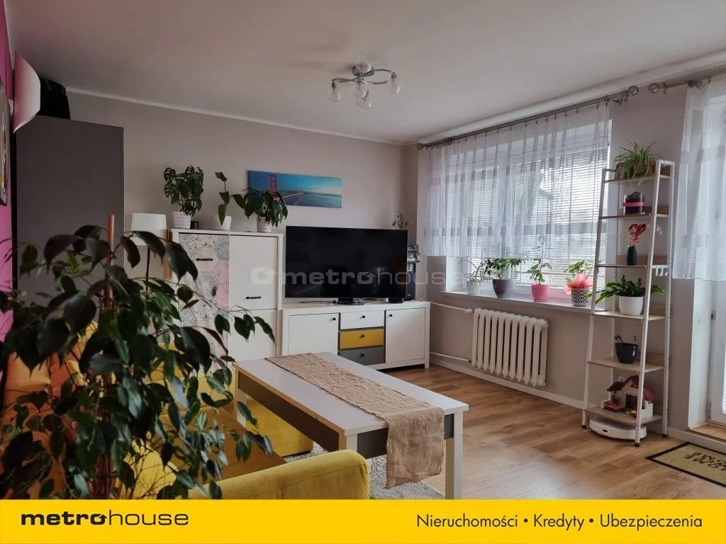 SMNEVI429 - zdjęcie nr 2