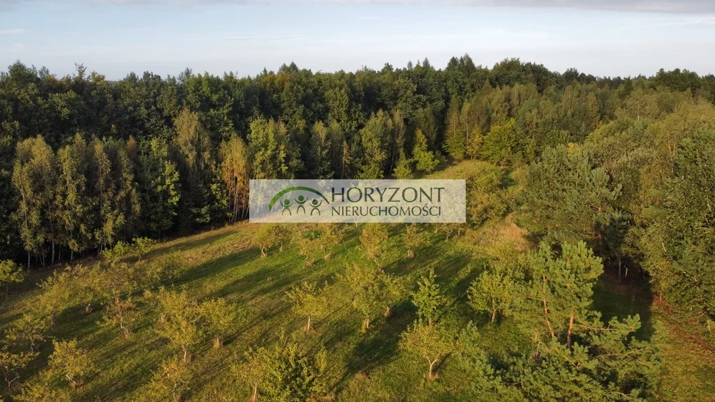 Działka 21 700,00 m², oferta nr , 4965/260/OGS, Babidół