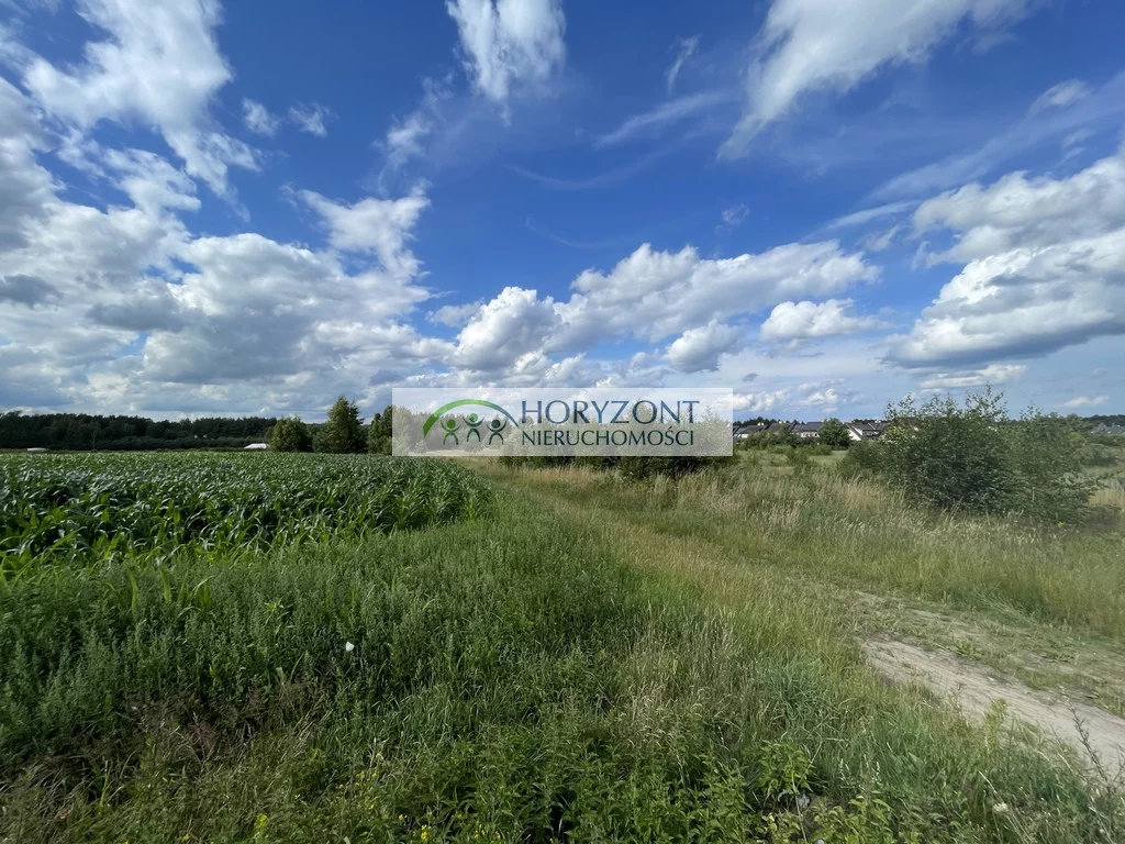 Działka 1 771,00 m², oferta nr , 5449/260/OGS, Bojano