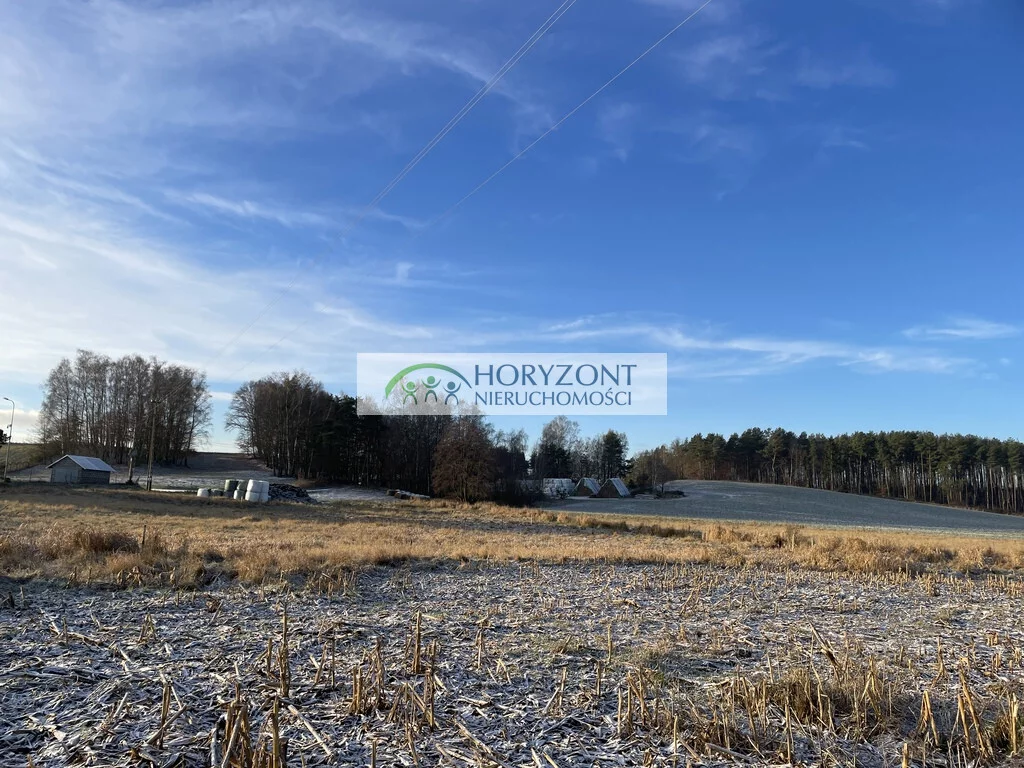 Działka 1 030,00 m², oferta nr , 5450/260/OGS, Bojano