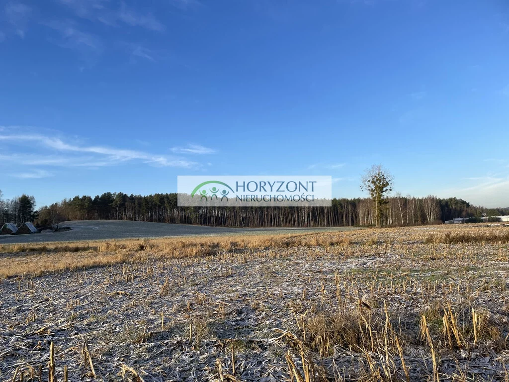 Działka 1 030,00 m², oferta nr , 5450/260/OGS, Bojano