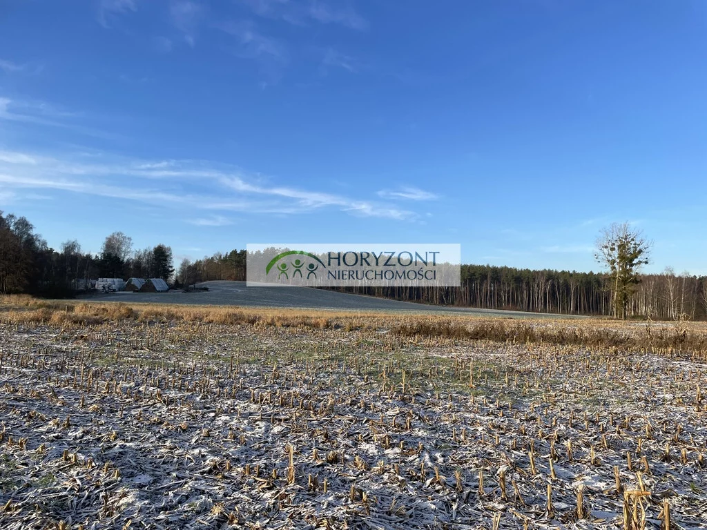Działka 1 030,00 m², oferta nr , 5450/260/OGS, Bojano