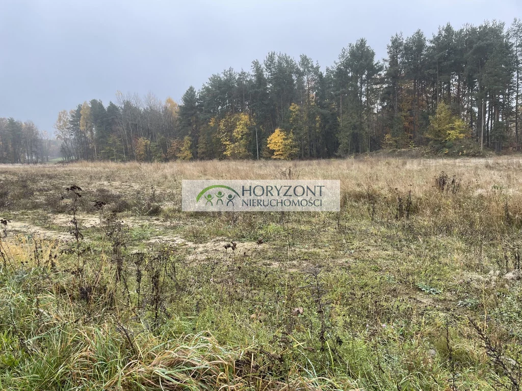 Działka 1 002,00 m², oferta nr , 5452/260/OGS, Kamień